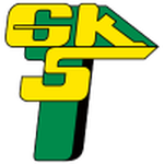 Górnik ??czna W