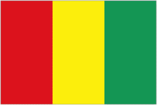 Guinea W historique
