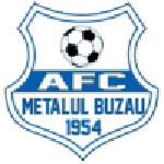 Metalul Buz?u